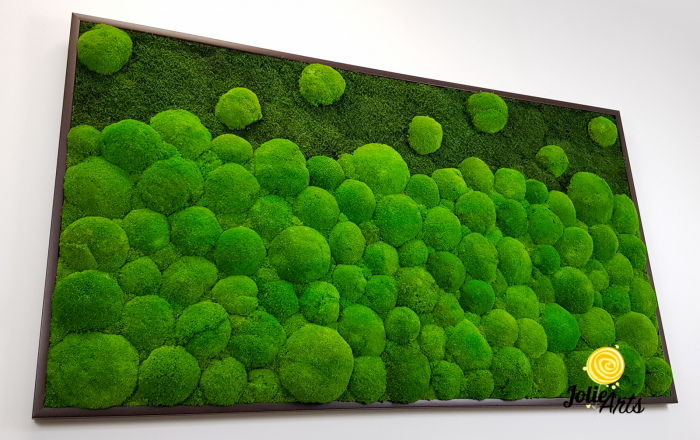 tablou-muschi-bombati-verde-deschis-si-muschi-plat [4]