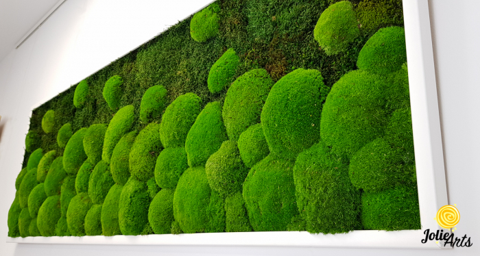 tablou-muschi-bombati-verde-deschis-si-muschi-plat [6]