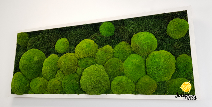 tablou-muschi-bombati-verde-deschis-si-muschi-plat [6]