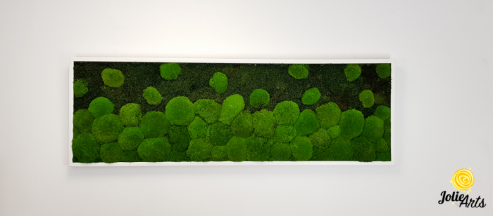 tablou-muschi-bombati-verde-deschis-si-muschi-plat [4]