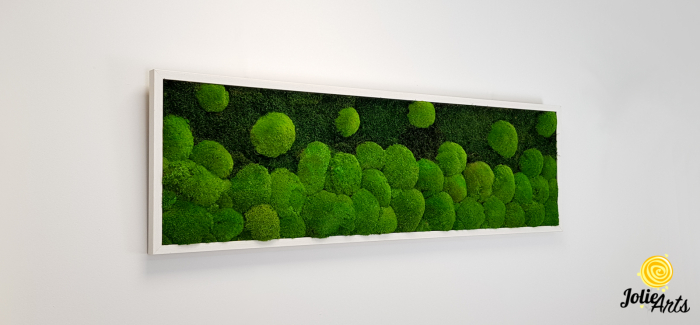 tablou-muschi-bombati-verde-deschis-si-muschi-plat [5]