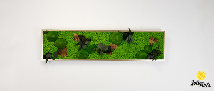 Tablou Forest Line – ciuperci stabilizate, mușchi bombat și licheni, ramă argintie, 40 x 130 cm [4]