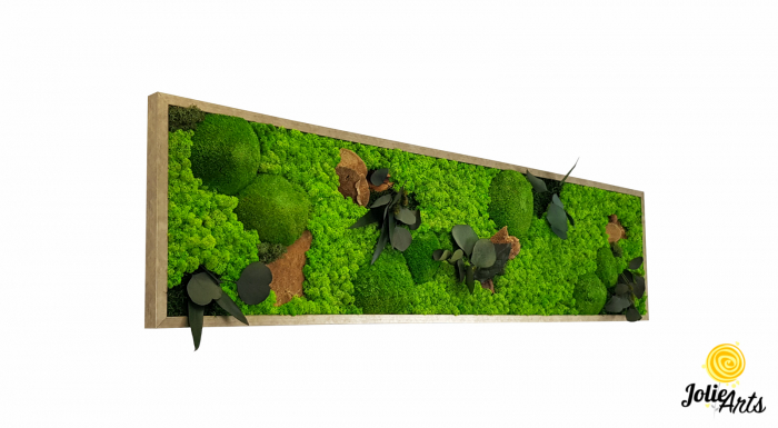 Tablou Forest Line – ciuperci stabilizate, mușchi bombat și licheni, ramă argintie, 40 x 130 cm [2]