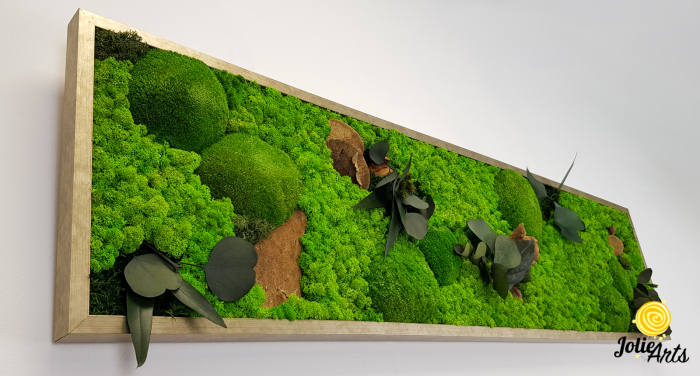 Tablou Forest Line – ciuperci stabilizate, mușchi bombat și licheni, ramă argintie, 40 x 130 cm [6]