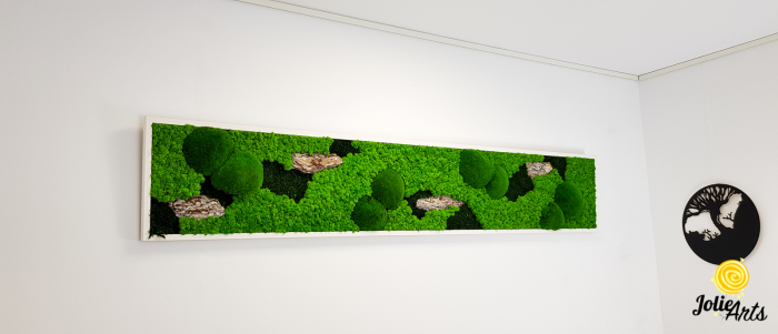 Tablou Scoarță Clasică cu Mușchi de Pădure, Scoarță de Pin și Licheni Naturali [4]