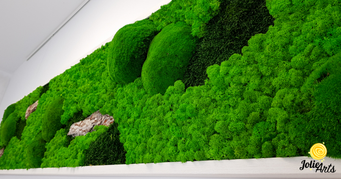 Tablou Scoarță Clasică cu Mușchi de Pădure, Scoarță de Pin și Licheni Naturali [6]