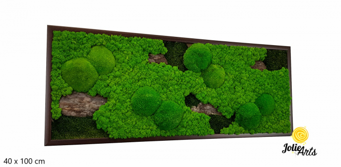 Tablou Scoarță Clasică cu Mușchi de Pădure, Scoarță de Pin și Licheni Naturali [2]