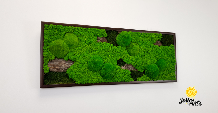 Tablou Scoarță Clasică cu Mușchi de Pădure, Scoarță de Pin și Licheni Naturali [5]