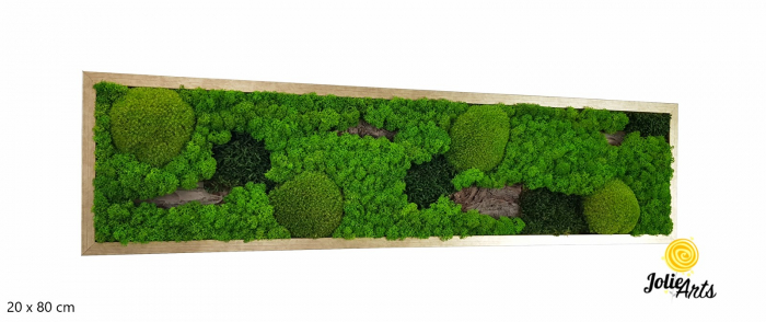 Tablou Scoarță Clasică cu Mușchi de Pădure, Scoarță de Pin și Licheni Naturali [3]