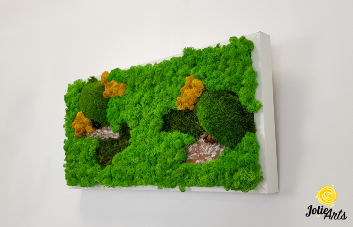 Tablou Scoarță cu Galben Jolie Arts – Design Natural cu Licheni și Mușchi [2]