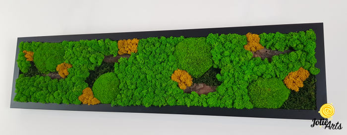 Tablou Scoarță cu Galben Jolie Arts – Design Natural cu Licheni și Mușchi [4]