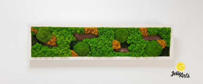 Tablou Scoarță cu Galben Jolie Arts – Licheni, Mușchi și Scoarță Naturală [3]