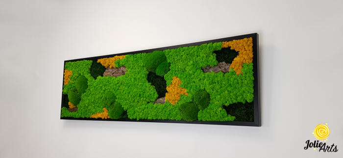 Tablou licheni, muschi si plante naturale stabilizate. Model Scoarta cu galben, Jolie Arts, www.tablouriculicheni.ro-2 [2]