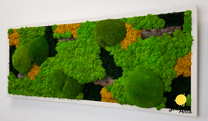 Tablou licheni, muschi si plante naturale stabilizate. Model Scoarta cu galben, Jolie Arts, www.tablouriculicheni.ro-2 [6]