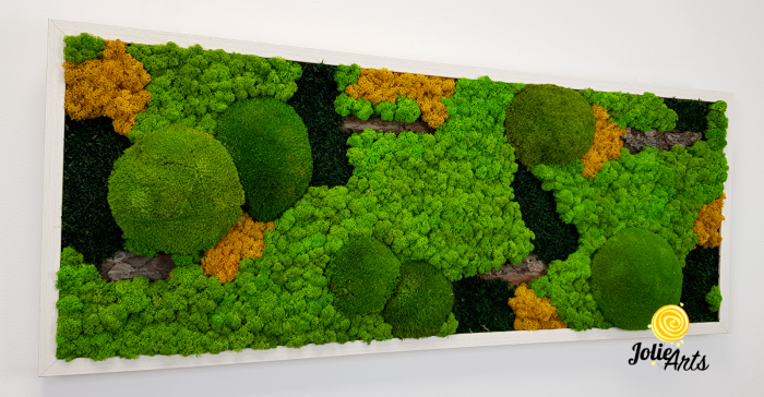 Tablou licheni, muschi si plante naturale stabilizate. Model Scoarta cu galben, Jolie Arts, www.tablouriculicheni.ro-2 [5]