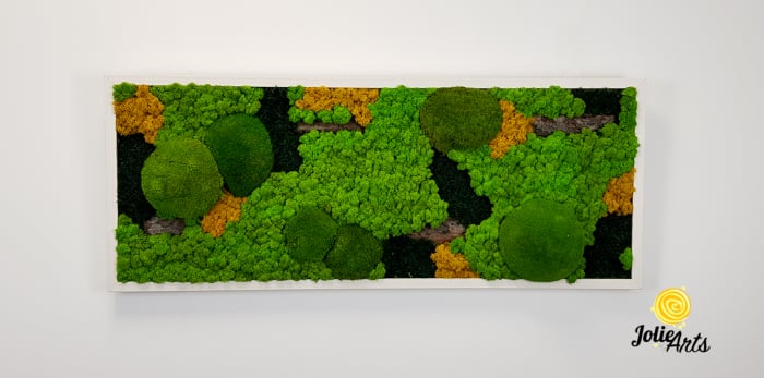 Tablou licheni, muschi si plante naturale stabilizate. Model Scoarta cu galben, Jolie Arts, www.tablouriculicheni.ro-2 [3]