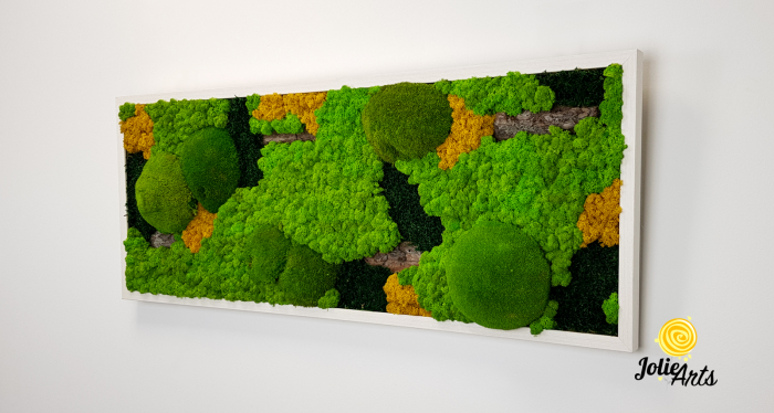 Tablou licheni, muschi si plante naturale stabilizate. Model Scoarta cu galben, Jolie Arts, www.tablouriculicheni.ro-2 [2]