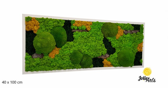 Tablou licheni, muschi si plante naturale stabilizate. Model Scoarta cu galben, Jolie Arts, www.tablouriculicheni.ro-2 [1]