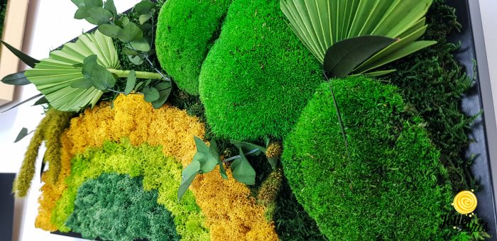 Model Soare Clasic - tablou cu licheni, mușchi stabilizați și plante naturale [6]