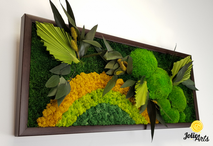 Model Soare Clasic - tablou cu licheni, mușchi stabilizați și plante naturale [6]
