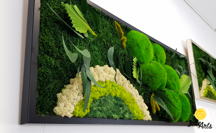 Tablou licheni, muschi si plante naturale stabilizate Jolie Arts, model Soare Alb, rama argintie, 40 x 100 cm, www.tablouriculicheni.ro-3 [6]