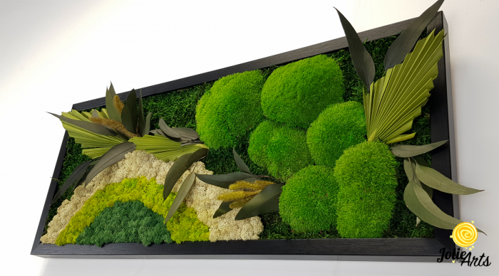 Model Soare cu Alb – licheni naturali, mușchi bombati, plante stabilizate Jolie Arts [7]
