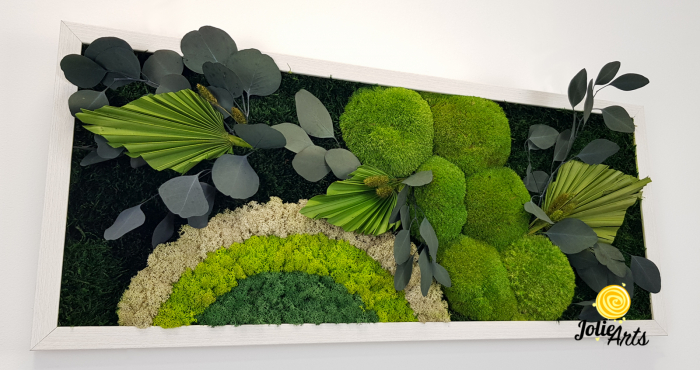 Tablou licheni, muschi si plante naturale stabilizate Jolie Arts, model Soare Alb, rama argintie, 40 x 100 cm, www.tablouriculicheni.ro-3 [5]