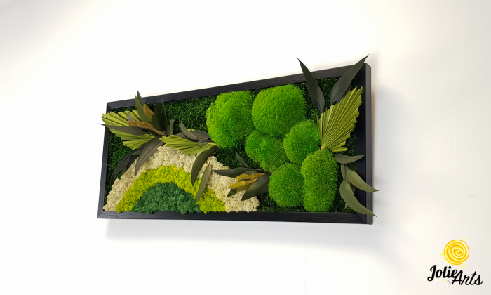 Model Soare cu Alb – licheni naturali, mușchi bombati, plante stabilizate Jolie Arts [3]
