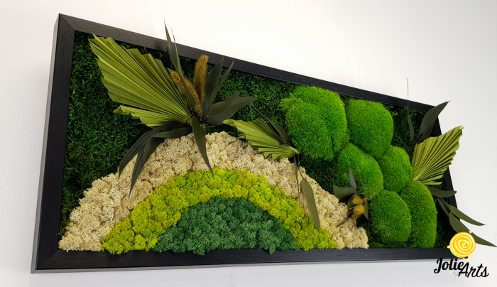 Model Soare cu Alb – licheni naturali, mușchi bombati, plante stabilizate Jolie Arts [6]