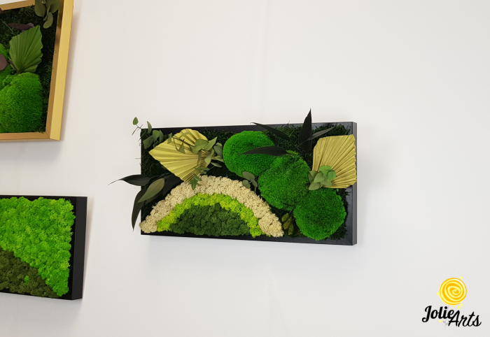 Model Soare cu Alb – licheni naturali, mușchi bombati, plante stabilizate Jolie Arts [2]