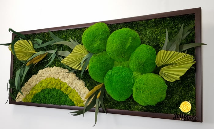 Model Soare cu Alb – licheni naturali, mușchi bombati, plante stabilizate Jolie Arts [6]