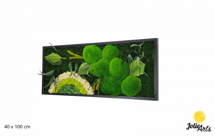 Tablou licheni, muschi si plante naturale stabilizate Jolie Arts, model Soare Alb, rama argintie, 40 x 100 cm, www.tablouriculicheni.ro-3 [1]