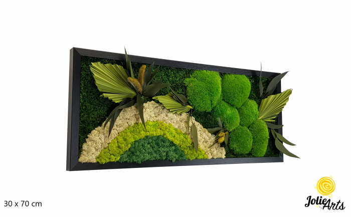 Model Soare cu Alb – licheni naturali, mușchi bombati, plante stabilizate Jolie Arts [2]