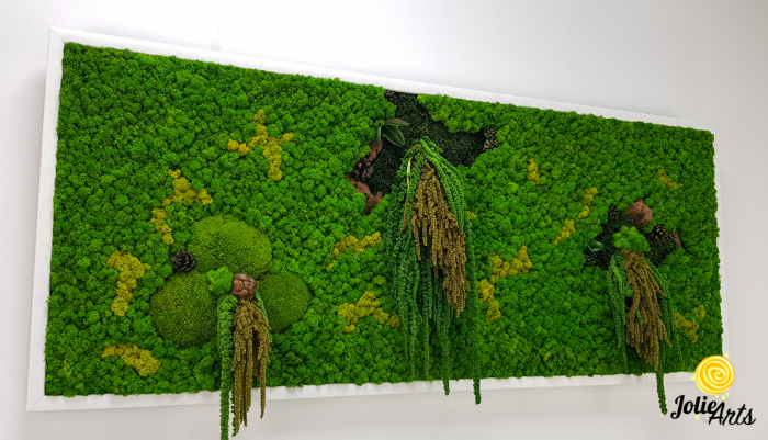 Model Trio Verde, Tablou Licheni, Muschi si Plante Naturale Stabilizate [6]