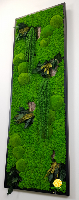 tablou-licheni-vertical-amaranthus-verde.jpg [8]