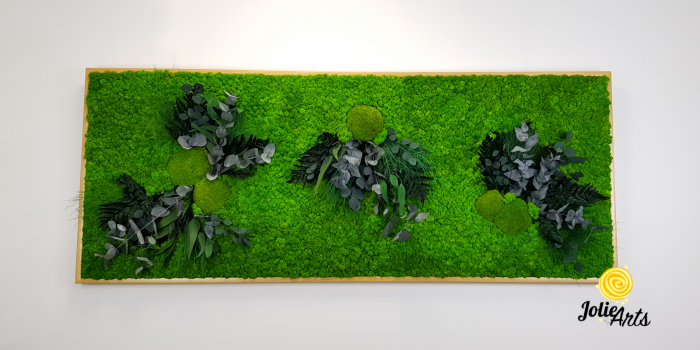 Muschi, licheni si plante naturale stabilizate, dimensiune personalizata, Model Green Day [3]