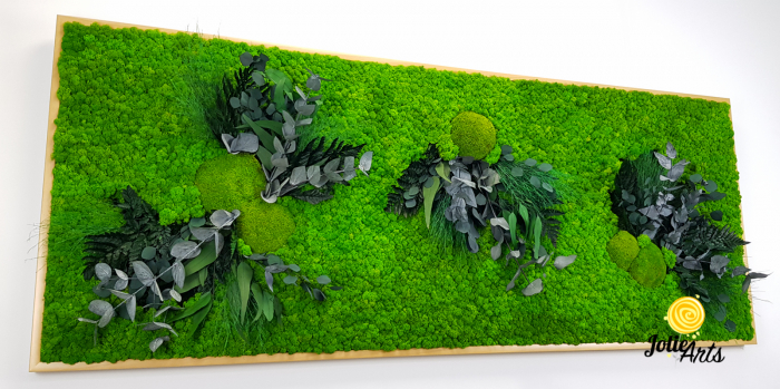 Muschi, licheni si plante naturale stabilizate, dimensiune personalizata, Model Green Day [6]