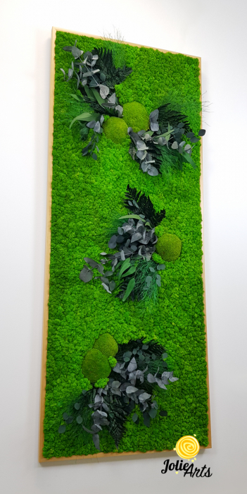 Muschi, licheni si plante naturale stabilizate, dimensiune personalizata, Model Green Day [7]
