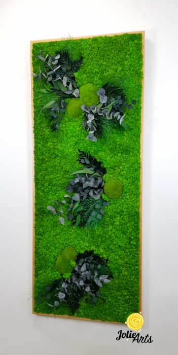 Muschi, licheni si plante naturale stabilizate, dimensiune personalizata, Model Green Day [8]