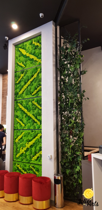 Panouri decorative cafenea, licheni, muschi bombati, plante naturale stabilizate [5]