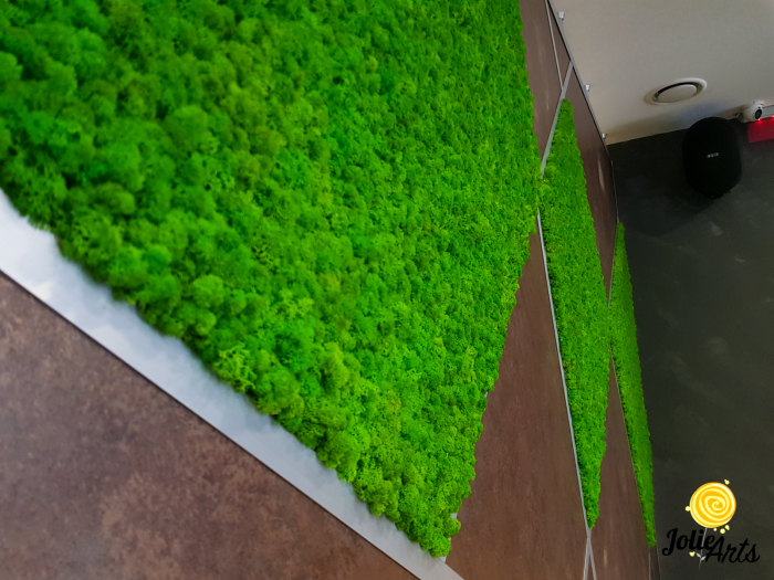 Panouri decorative cu licheni naturali Jolie Arts, Urban GYM [3]