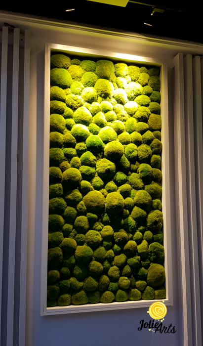 panouri verticale muschi bombat naturali stabilizati restaurant proiect personalizat [2]