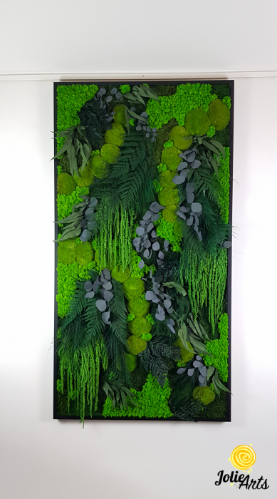 Perete verde – compoziție cu mușchi, licheni și plante naturale stabilizate, ramă neagră 70 x 190 cm [3]
