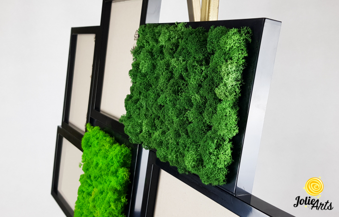 Rama foto decorata cu licheni naturali stabilizati Jolie Arts [5]