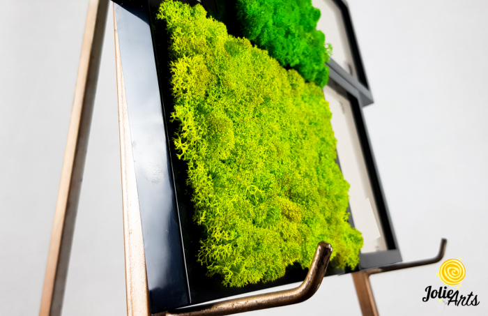 Rama foto decorata cu licheni naturali stabilizati Jolie Arts [3]