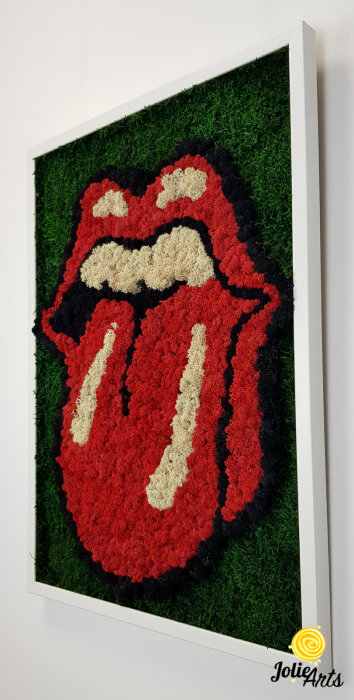 Rolling Stones Logo cu licheni si muschi naturali stabilizati [5]