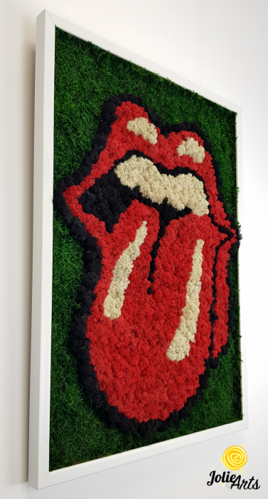Rolling Stones Logo cu licheni si muschi naturali stabilizati [5]