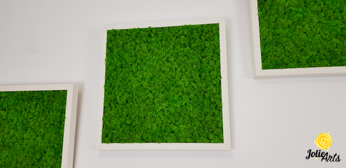 Set 3 tablouri cu licheni naturali stabilizati Jolie Arts, dimensiune 40 x 40 cm [2]