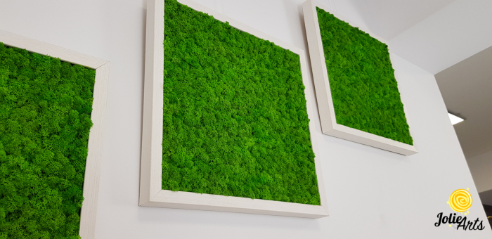 Set 3 tablouri cu licheni naturali stabilizati Jolie Arts, dimensiune 40 x 40 cm [3]