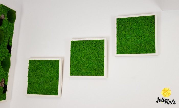 Set 3 tablouri cu licheni naturali stabilizati Jolie Arts, dimensiune 40 x 40 cm [4]